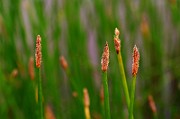 IMG_1854