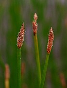 IMG_1857