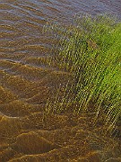 IMG_0025