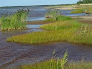 IMG_0026