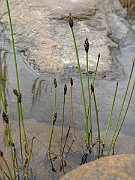 IMG_6686