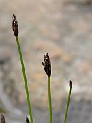IMG_6687