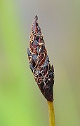 IMG_6697