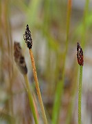 IMG_6698