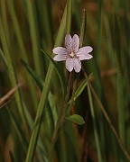 IMG_1146