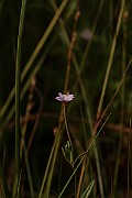IMG_1147