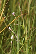 IMG_1151