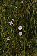 IMG_1159