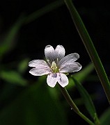 IMG_2791