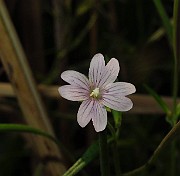 IMG_2798