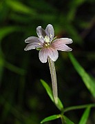 IMG_2800