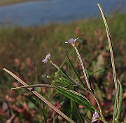 IMG_9982
