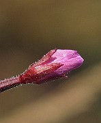 IMG_9990