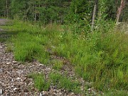 IMG_5429