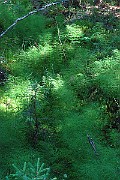 IMG_2466