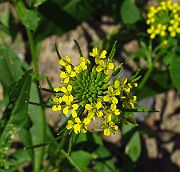 IMG_3901