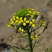 IMG_3902