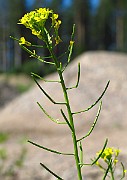 IMG_3904