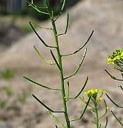 IMG_3905