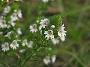 IMG_3918