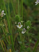 IMG_3920
