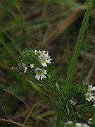 IMG_3924