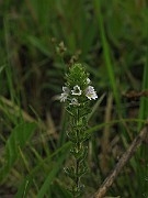 IMG_3925