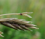 IMG_4849