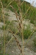 IMG_4850