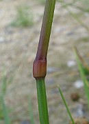 IMG_4857