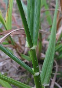 IMG_4859