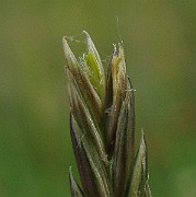 IMG_4862