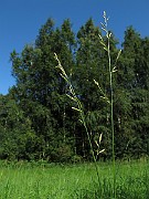 IMG_9001