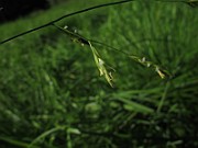 IMG_9016