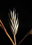 IMG_4719