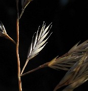IMG_4722