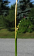 IMG_4733