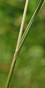 IMG_4742