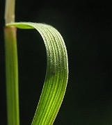 IMG_4743