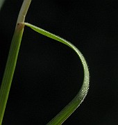 IMG_4746
