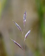 IMG_6693