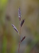 IMG_6695