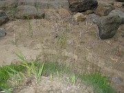 IMG_6758