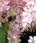 IMG_5745