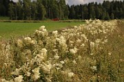 IMG_0495