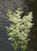 IMG_3761