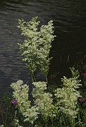 IMG_3762
