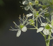 IMG_3764