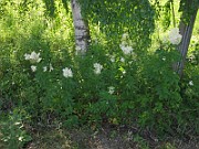 IMG_3843