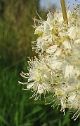 IMG_4472